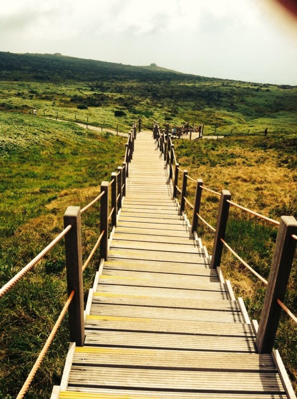Wooden steps on Mount Hallasan, Jeju Island, South Korea